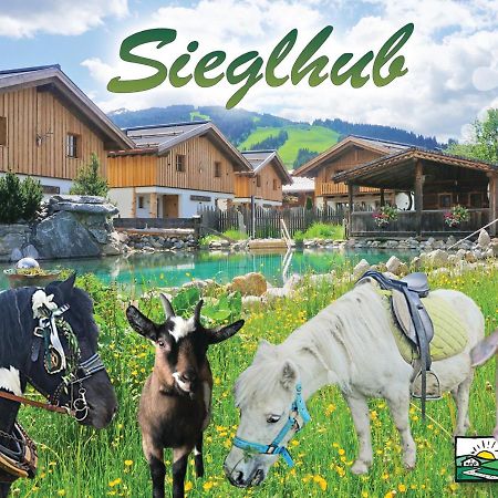 Sieglhub Chalets - Appartements - Hotel Flachau Exterior foto