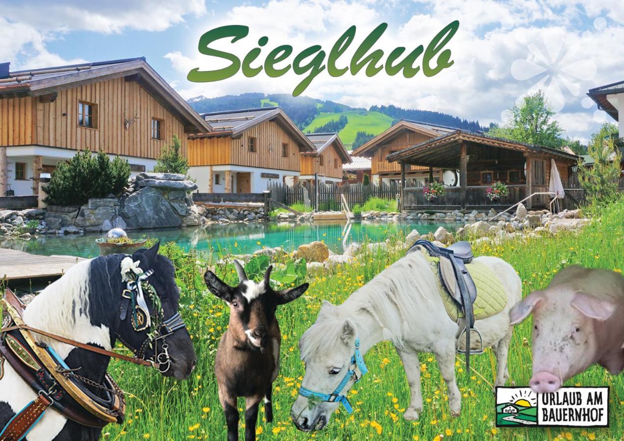 Sieglhub Chalets - Appartements - Hotel Flachau Exterior foto